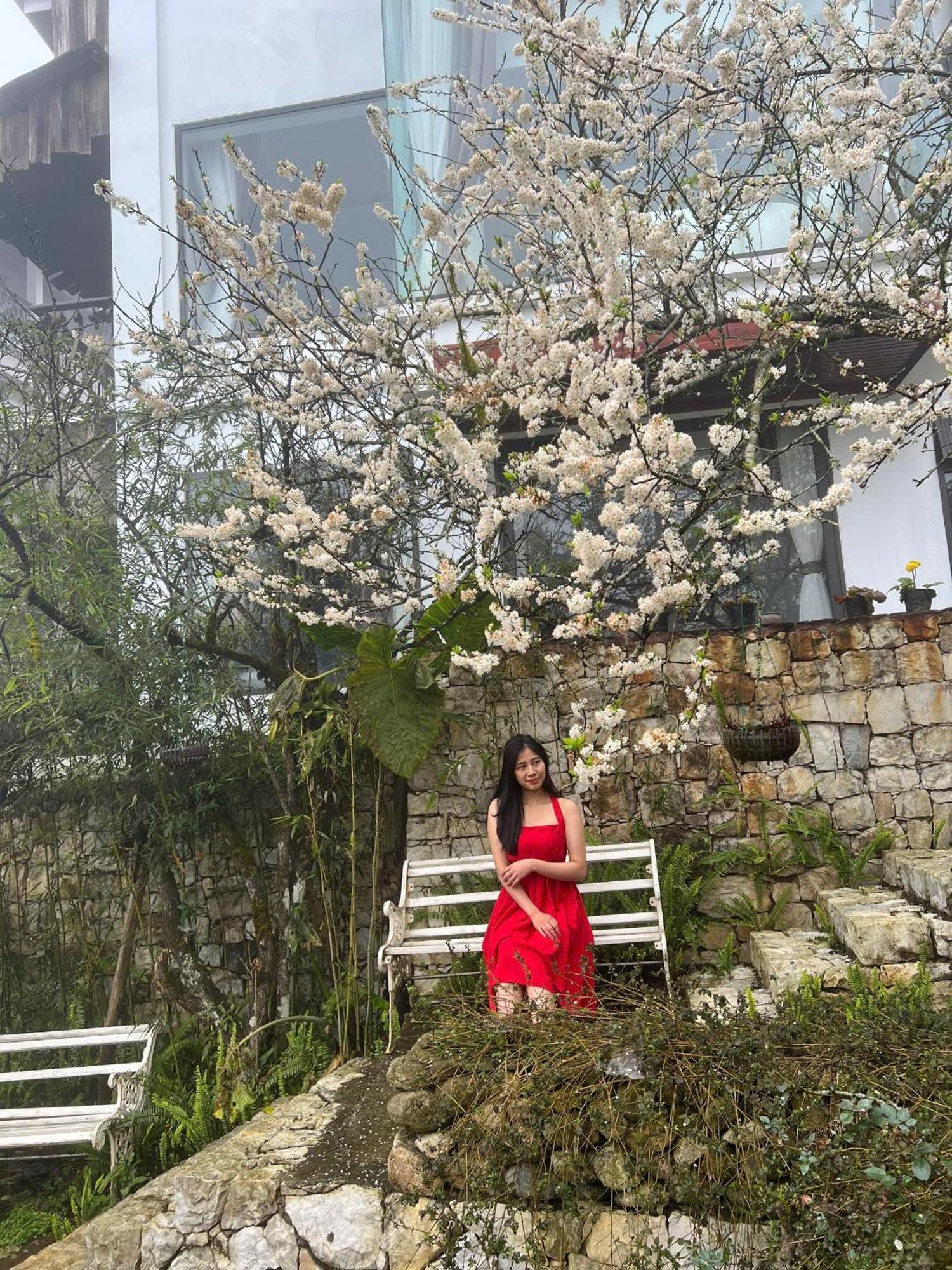 Green Villa Sapa Exterior photo